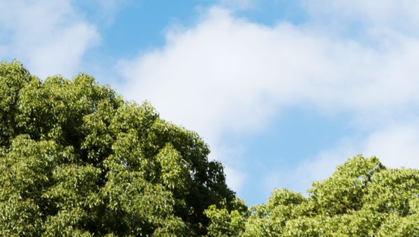 山形県米沢市の認可保育所 森の子園保育所